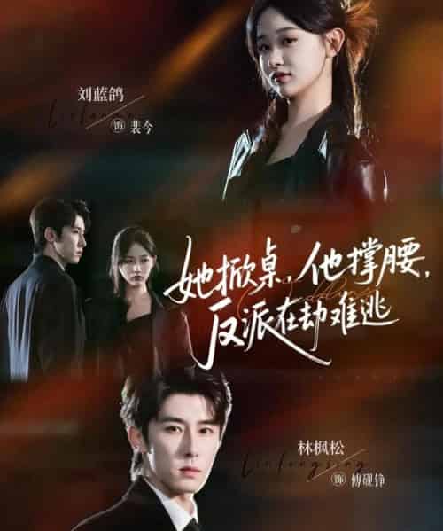 她掀桌，他撑腰，反派在劫难逃（71集全）林枫松＆刘蓝鸽-初遇资源网