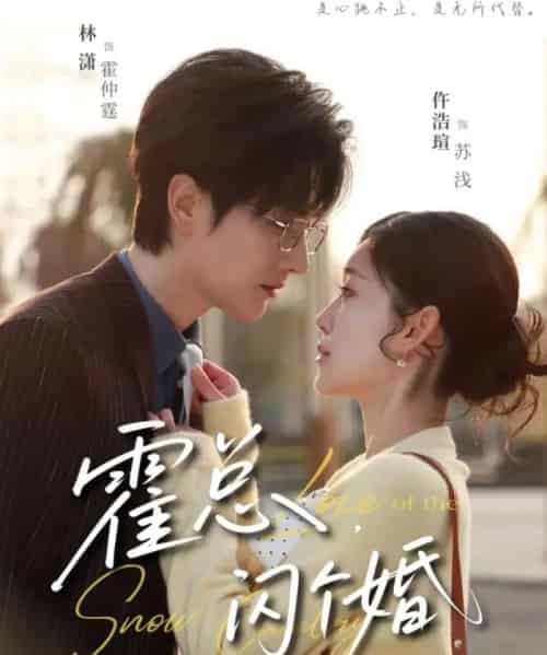 霍总闪个婚（86集全）仵浩瑄＆林潇-初遇资源网