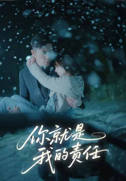 你就是我的责任(15集全)商司湛&时浅-初遇资源网