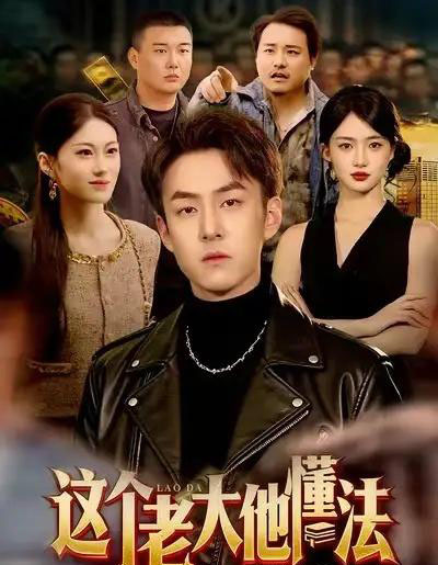这个老大他懂法(100集全)梁超&董秋怡-初遇资源网