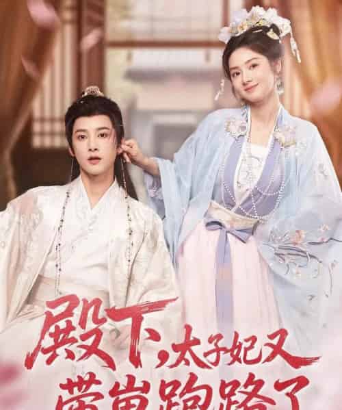 殿下,太子妃又带崽跑路了(70集全)冯俊熙&刘容榕-初遇资源网