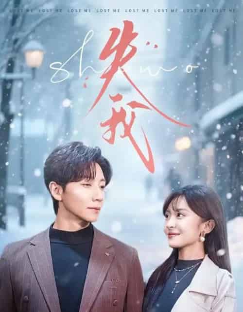 失我(70集全)宋晨&程琳淼-初遇资源网