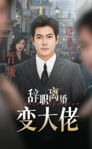 辞职离婚变大佬（30集全）-初遇资源网