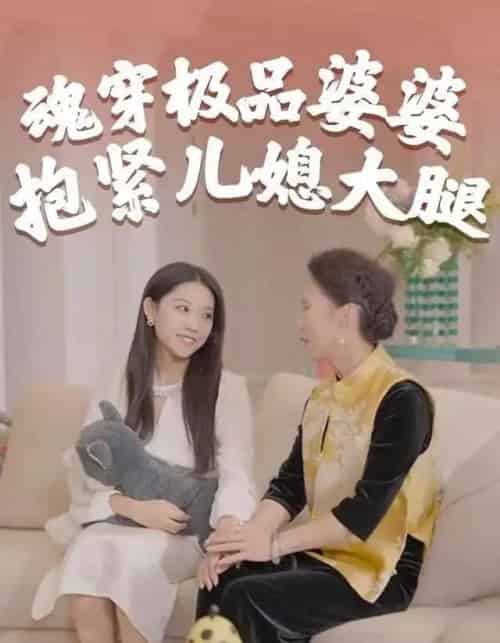 魂穿极品婆婆，抱紧儿媳大腿（42集全）黄燕＆宇澄-初遇资源网