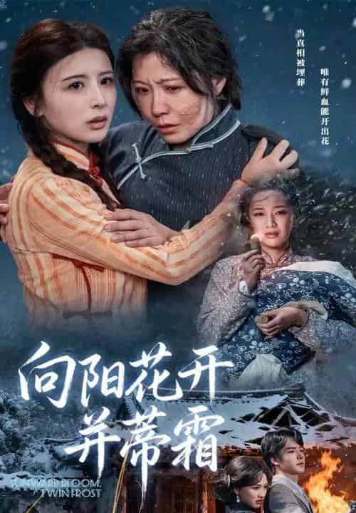 向阳花开并蒂霜（60集全）燕颢元＆李沁霏-初遇资源网