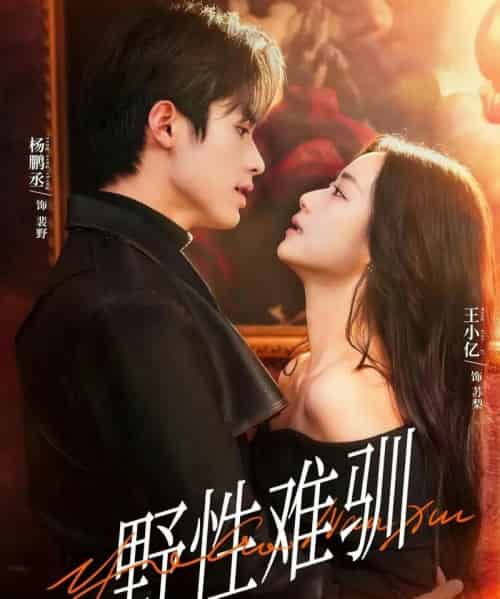 野性难驯＆驯野2（81集全）杨鹏丞＆王小亿＆张旋＆刘宇航＆刘夕语-初遇资源网