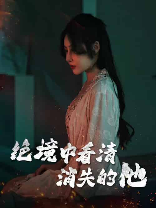 绝境中看清消失的他(31集全)赵学茹-初遇资源网