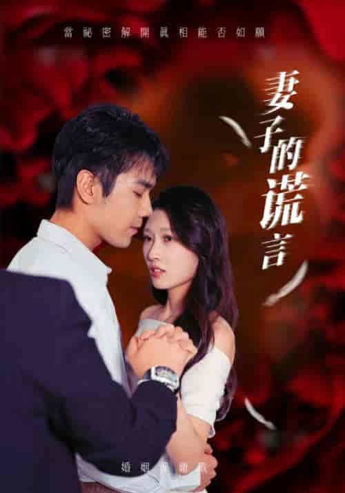 妻子的谎言(41集全)邵宇&林诗诗-初遇资源网