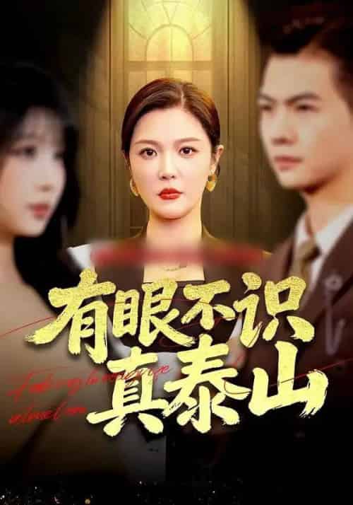 有眼不识真泰山（75集全）李明＆周霖-初遇资源网