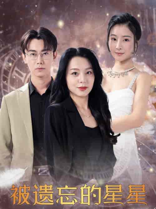 被遗忘的星星(28集全)-初遇资源网