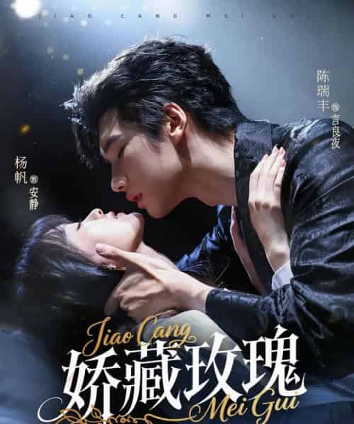 娇藏玫瑰（72集）杨帆＆陈瑞丰-初遇资源网