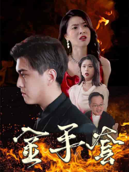 金手套(69集全)-初遇资源网