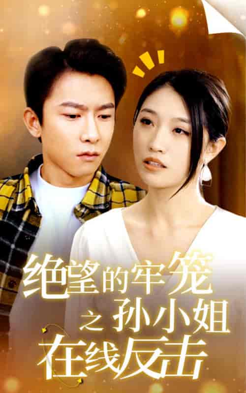 绝望的牢笼之孙小姐在线反击（92集）-初遇资源网