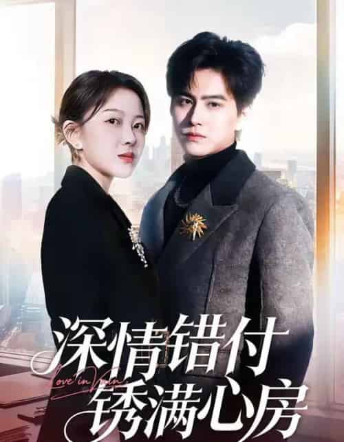 深情错付锈满心房（60集全）苏倚＆宗沐一-初遇资源网