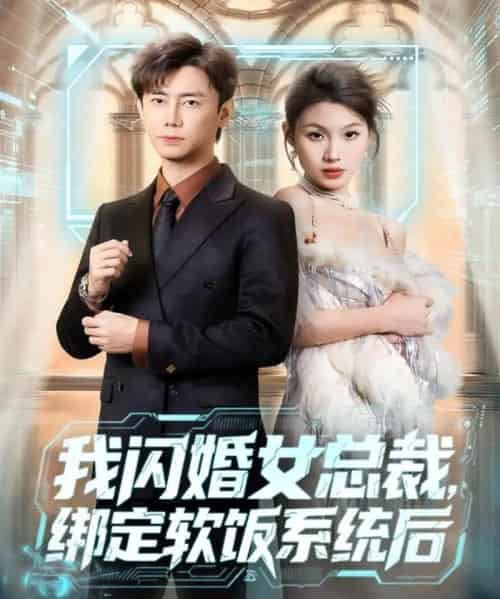 我闪婚女总裁绑定软饭系统后（73集全）李咏昊＆黄盈-初遇资源网