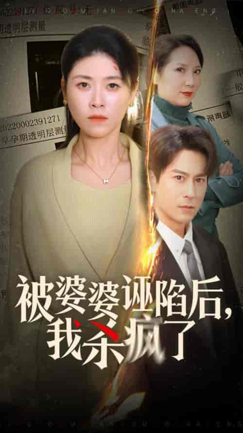 被婆婆诬陷后我杀疯了(30集全)诸玲颖-初遇资源网