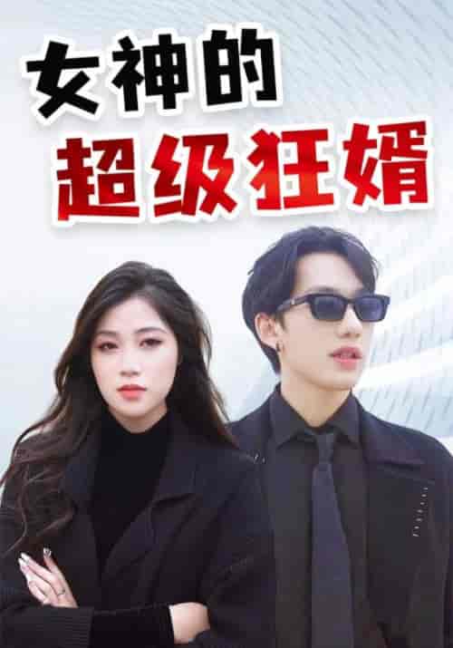 女神的超级狂婿（100集全）萧天龙＆杨如雪-初遇资源网