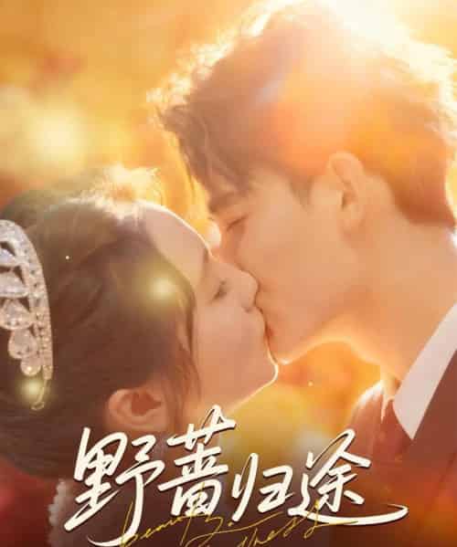 野蔷归途（80集全）李书滔＆尚芸琪-初遇资源网