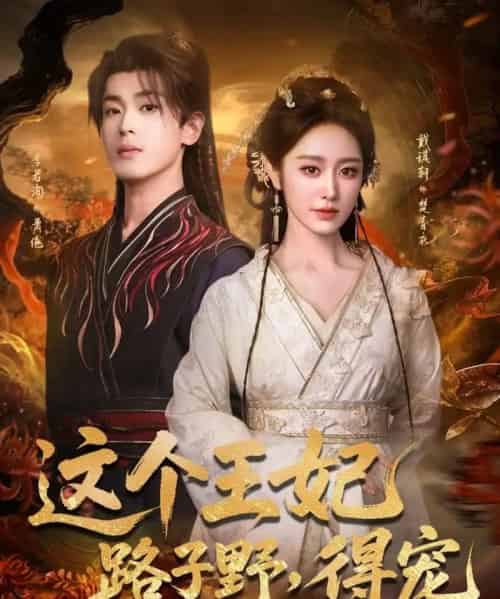 这个王妃路子野,得宠(77集全)李若洵&戴琪轩-初遇资源网