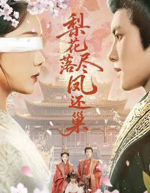 梨花落尽凤还巢(79集)-初遇资源网