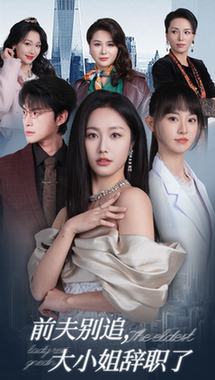 前夫别追大小姐辞职了（31集全）白雪茹-初遇资源网