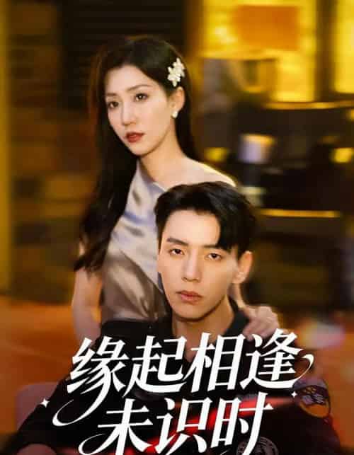 缘起相逢未识时（57集全）孙同钰＆尼玛坚赞-初遇资源网