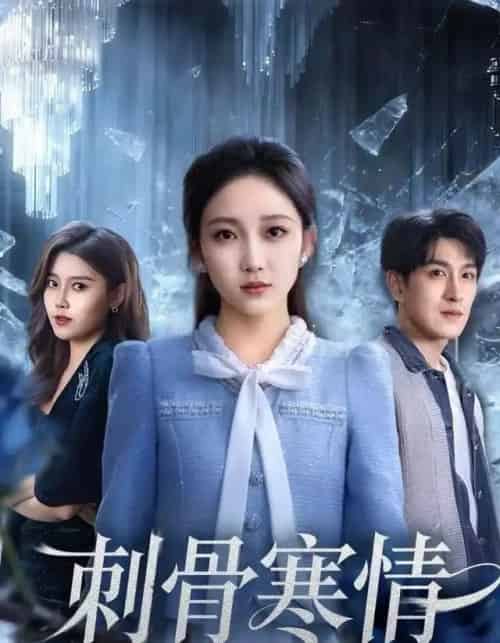 刺骨寒情（58集全）林可汉＆马菲-初遇资源网