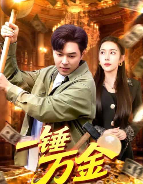 一锤万金(109集全)杨林涛&刘晨宇-初遇资源网