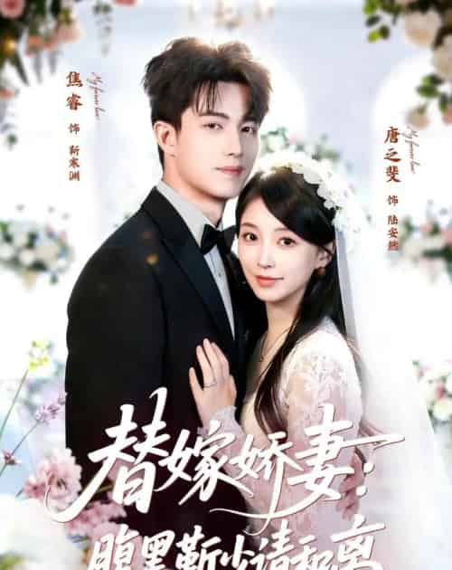 替嫁娇妻：腹黑靳少请和离（80集全）焦睿＆唐之斐-初遇资源网
