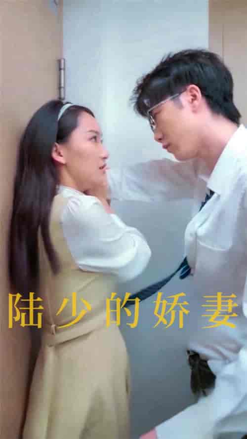 陆少的娇妻（100集全）-初遇资源网