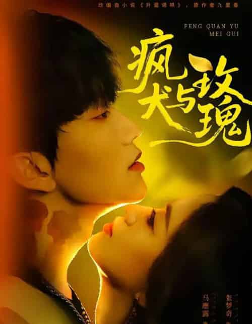 疯犬与玫瑰(80集全)马應露&张梦奇-初遇资源网