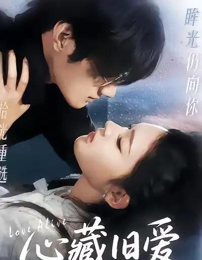 心藏旧爱（73集全）聂文华＆王知煜-初遇资源网