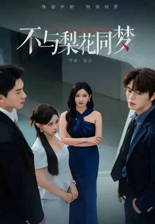 不与梨花同梦（50集全）张玉娇＆徐扬灏-初遇资源网