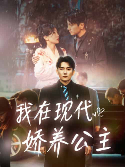 我在现代娇养公主(41集)黄波&苏雨桐-初遇资源网
