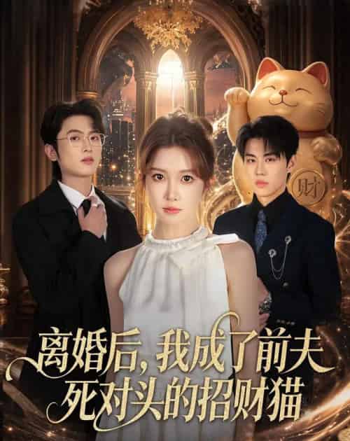 离婚后,我成了前夫死对头的招财猫(65集全)一飞&孙嘉俊-初遇资源网