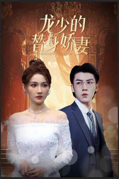 龙少的替身娇妻（84集）-初遇资源网