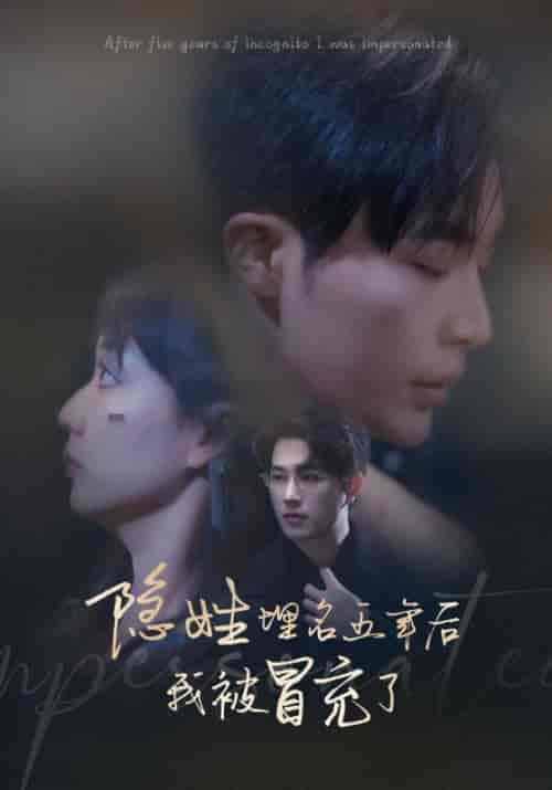 隐姓埋名五年后我被冒充了（97集全）-初遇资源网