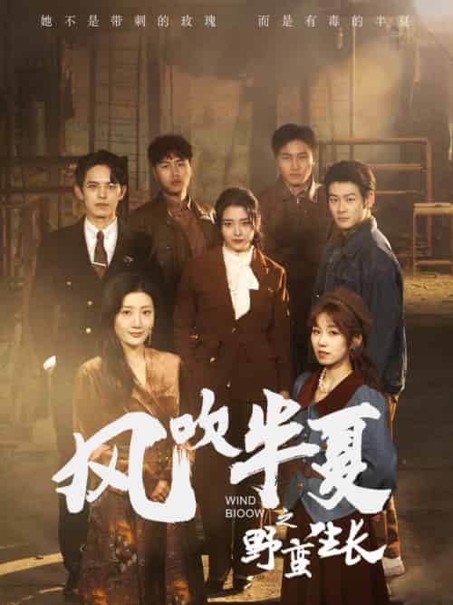 风吹半夏之野蛮生长（59集）宋暖-初遇资源网