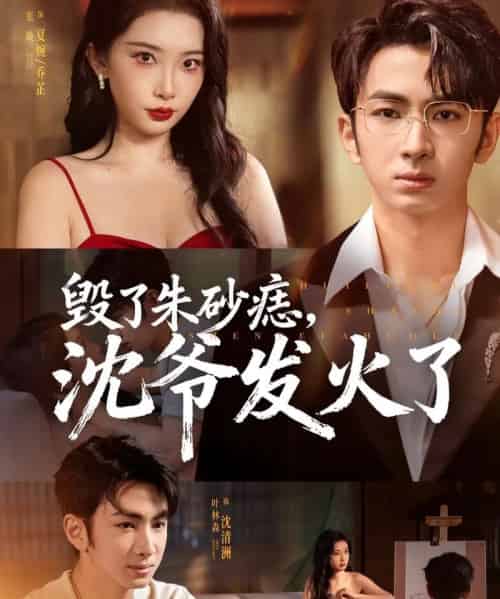 毁了朱砂痣，沈爷发火了（60集全）叶森林＆张璇-初遇资源网