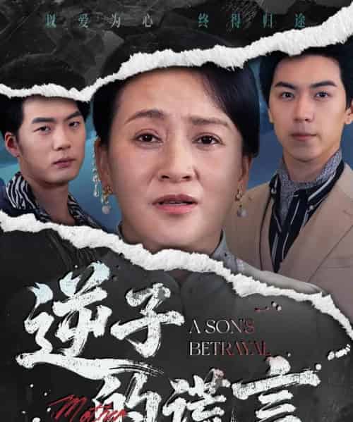 逆子的谎言(60集全)李予苏&牛一凡-初遇资源网