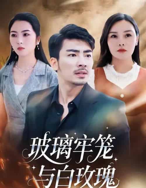 玻璃牢笼与白玫瑰（75集全）张瀚文（男）＆郑曦月-初遇资源网
