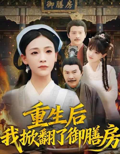 重生后我掀翻了御膳房(69集全)杨晨曦&史强-初遇资源网