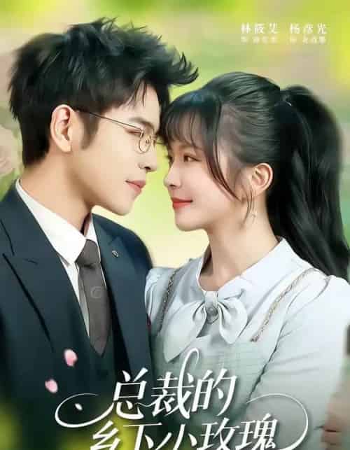 总裁的乡下小玫瑰(102集全)杨彦光&林筱艾-初遇资源网