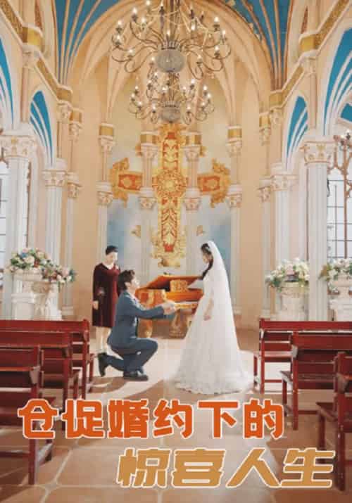 仓促婚约下的惊喜人生(99集全)顾明修&舒欣-初遇资源网