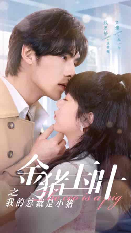 金猪玉叶之我的总裁是小猪（80集）-初遇资源网