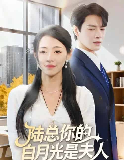 陆总你的白月光是夫人（51集全）李彬航＆王思莹-初遇资源网