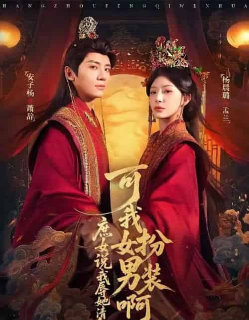 庶女说我辱她清白，可我女扮男装啊（60集全）安子杨＆杨晨璐-初遇资源网