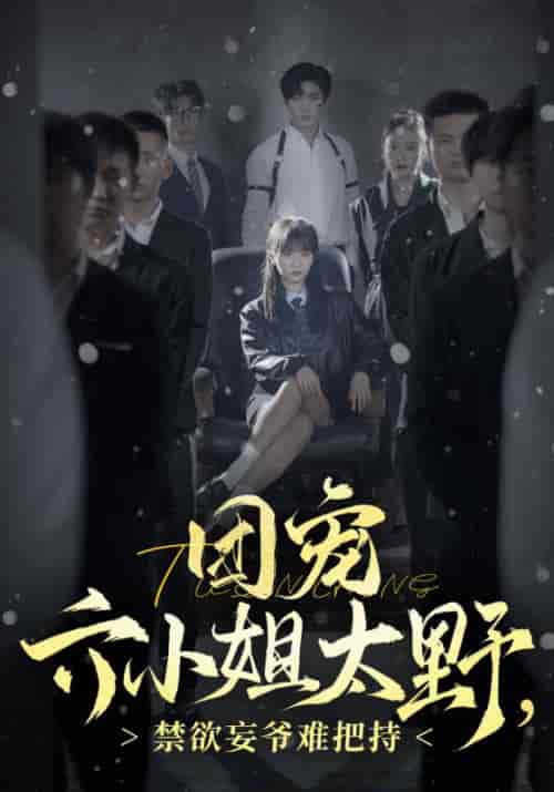 团宠六小姐太野,禁欲妄爷难把持(90集全)秦无妄&叶笙-初遇资源网