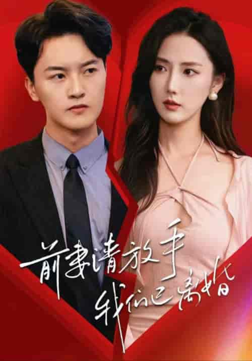 前妻请放手,我们已离婚(86集全)插边剧-初遇资源网