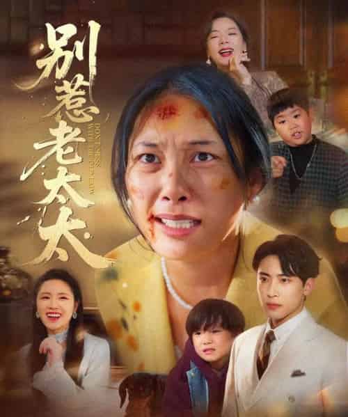 别惹老太太&谁说她没人撑腰(68集全)陈柯宇&赵丹-初遇资源网